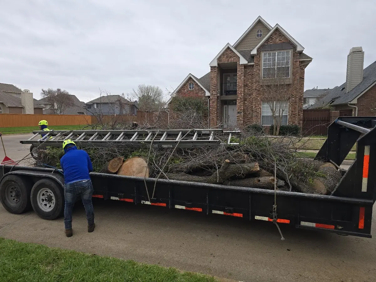 Expert Tree Removal with proper safety equipment in Weyauwega